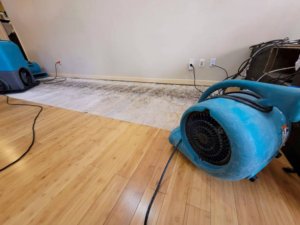 Professional Basement Flood Cleanup technician working in Delray Beach, FL
